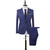 2 Pcs Mens Suit
