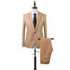 2 Pcs Mens Suit