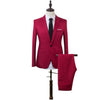 2 Pcs Mens Suit